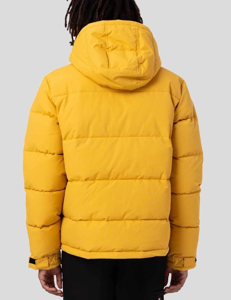 Caçador DICKIES glacier view puffer honey gold